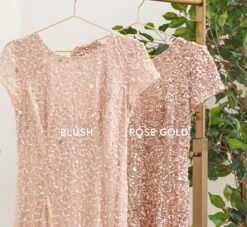 Adrianna Papell Scoop Back Sequin Gown In Rose Gold -Allure Attire 091874600 AA958 Regular Alternate f46314d1 1591 4741 830c 87514c50d7f8