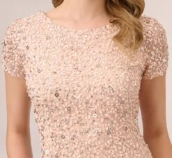 Adrianna Papell Scoop Back Sequin Gown In Blush -Allure Attire 091874600 BLS Regular Detail