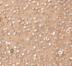 Adrianna Papell Plus Size Scoop Back Sequin Gown In Champagne -Allure Attire 091874601 CHA Plus Alternate