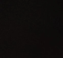 Adrianna Papell Sleeveless Tailored Jumpsuit With Wide Leg In Black -Allure Attire AP1D102818 AA002 Regular Alternate