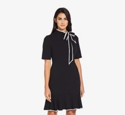 Adrianna Papell Mock Neck Dress With Contrasting Bowtie In Black Ivory