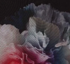 Adrianna Papell Plus Size Floral Printed Jumpsuit In Black Multi -Allure Attire AP1D104440 AA963 Plus Alternate