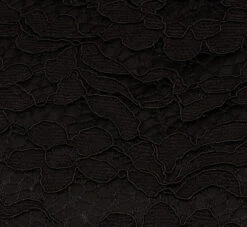 Adrianna Papell Roll Neck Lace Dress With Sheer Elbow Sleeves In Black -Allure Attire AP1D105195 AA002 Regular Alternate