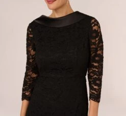 Adrianna Papell Roll Neck Lace Dress With Sheer Elbow Sleeves In Black -Allure Attire AP1D105195 AA002 Regular Detail