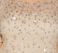 Adrianna Papell Plus Size Beaded Cocktail Dress In Biscotti -Allure Attire AP1E207750 AG273 Plus Detail