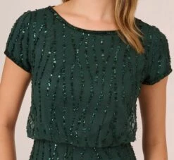 Adrianna Papell Hand-Beaded Blouson Long Gown In Dusty Emerald -Allure Attire AP1E210157 AA302 Regular Detail