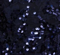 Adrianna Papell Sequin Lace Sleeveless Midi Dress With Mock Neck In Navy -Allure Attire AP1E210621 AA412 Regular Alternate