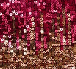 Adrianna Papell Ombre Sequin Sleeveless Sheath Dress With V-Back In Cassis -Allure Attire AP1E210626 AC507 Regular Alternate