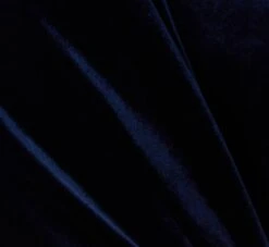 Adrianna Papell One Shoulder Velvet Jumpsuit With Draped Accent In Midnight -Allure Attire AP1E210667 AB411 Regular Alternate