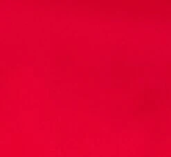 Adrianna Papell Satin Crepe Blouson Jumpsuit With Rosette Trim In Hot Ruby -Allure Attire AP1E210833 AU610 Regular Alternate