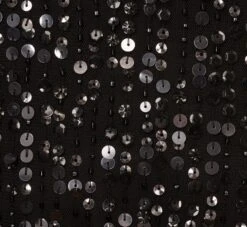 Adrianna Papell Plus Size Beaded Fringe Dress With Sheer Short Sleeves In Black -Allure Attire AP1E211010 AA002 Plus Alternate