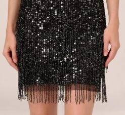 Adrianna Papell Beaded Fringe Dress With Sheer Short Sleeves In Black -Allure Attire AP1E211010 AA002 Regular Lifestyle