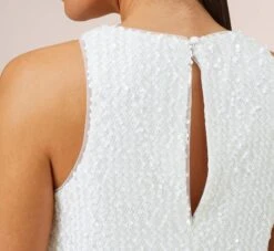 Sequined Trapeze Halter Dress With Feather Trim In Ivory -Allure Attire MN1E206390 AC194 Regular Side