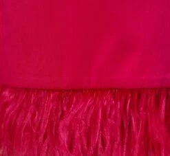 Charmeuse Tuxedo Short Sheath Cocktail Dress With Feather Trim In Bright Rose -Allure Attire MN1E206883 AN670 Regular Detaill