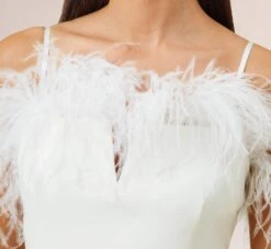 Feather Trimmed Crepe Short Sheath Cocktail Dress In Ivory -Allure Attire MN1E207440 AC194 Regular Side