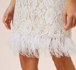 Floral Lace And Feather Trimmed Short Sheath Cocktail Dress In Ivory -Allure Attire MN1E207483 AC194 Regular Alternate