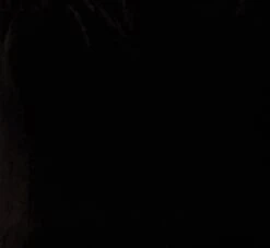 Feather Trimmed Strapless Velvet Jumpsuit In Black -Allure Attire MN1E207614 AA002 Regular Alternate