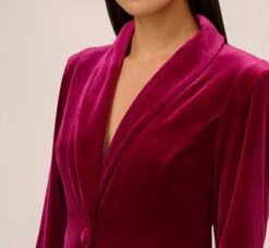 Long Sleeve Velvet Tuxedo Dress With Feather Hem In Magenta -Allure Attire MN1E208384 AA520 Regular Detail